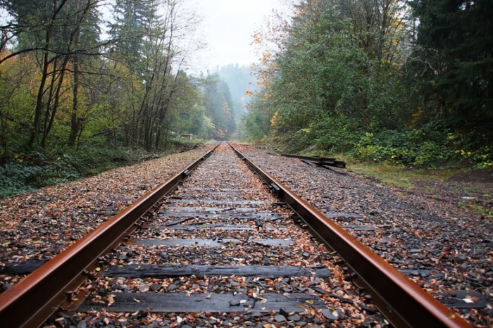 Tracks