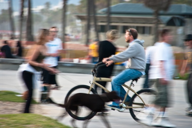 Bicyclist