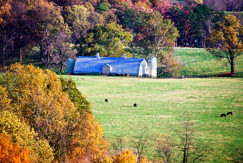 Farm