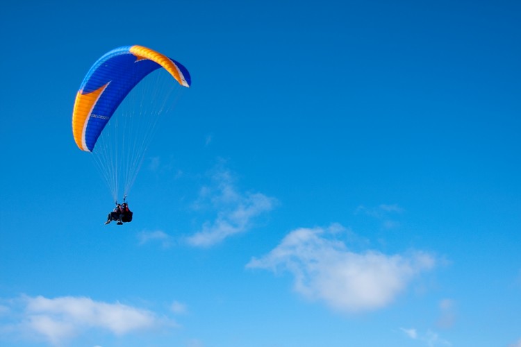 Paraglider