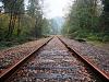 Tracks
