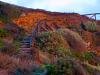 Beach Stairway