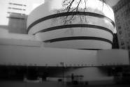 Solomon R. Guggenheim