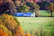 Farm