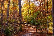 Fall